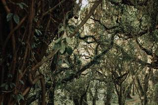 Naomi Levit Photography - 15