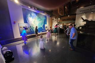 National Mississippi River Museum & Aquarium - 16