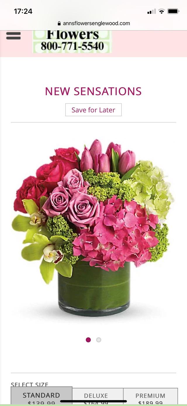 Ann's Flowers - 2