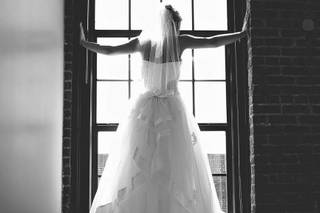 Daniele Elyse Photography - 6