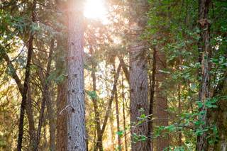 Ashley Teasley Photography - 3