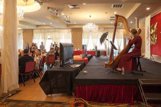 Brittany Burns, Harpist - 12