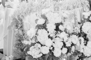 Fox and Film Photography - 6