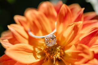 Fused Fine Jewelry - 8