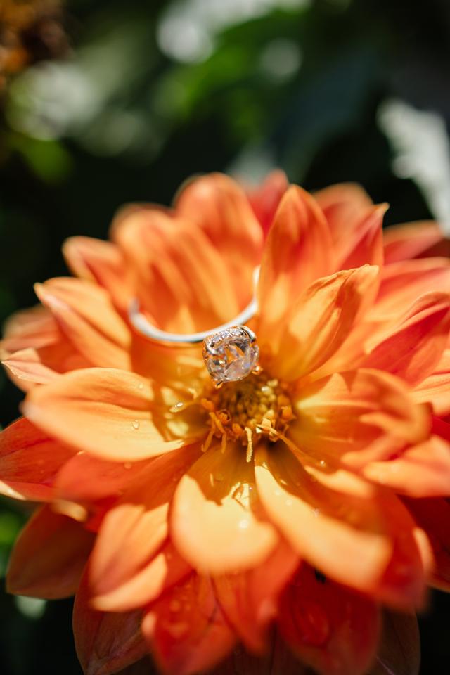 Fused Fine Jewelry - 1