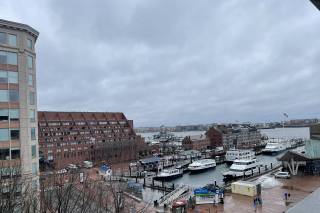 New England Aquarium - 9