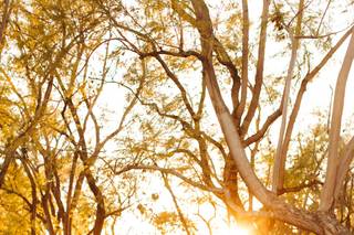 Erich Chen Photography - 50