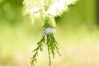 Madison Berlen Photography - 15