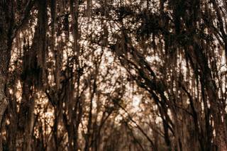 Florida Rustic Barn Weddings - 90