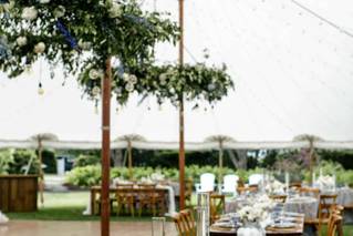 Birds of a Flower - 15