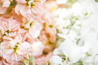Lily Roden Floral Studio - 52