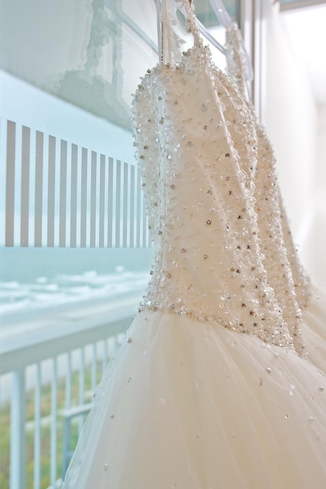 GTC Photography - 2