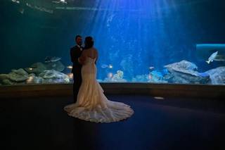 National Mississippi River Museum & Aquarium - 18