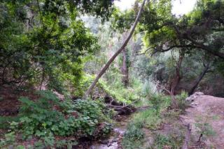 Oak Canyon Nature Center - 12