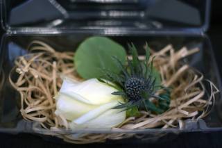 Moscarillo's Garden Shoppe - 6