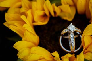 Timeless Impressions Photography - 12