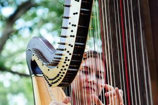 Claire Happel Ashe, Harp - 5