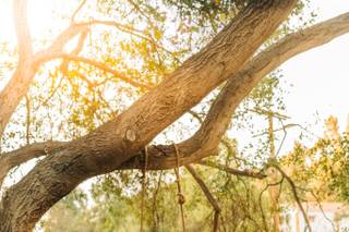 Ciprian Bot Photography - 18