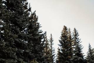 Mountain View Ranch by Wedgewood Weddings - 88