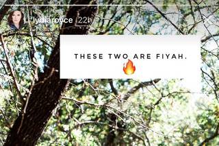 Lydia Royce Photography - 3