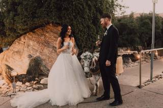 Haul N Ass Productions - 76