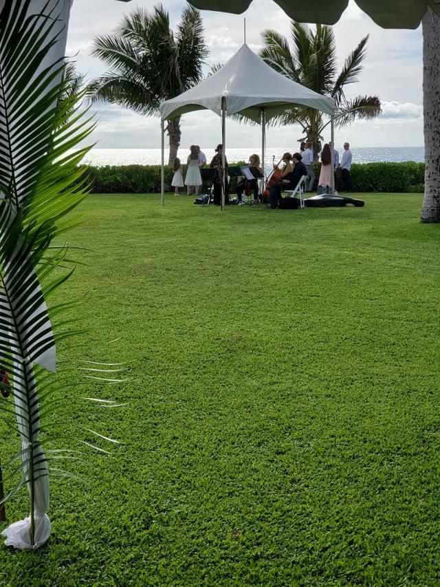 Oahu Strings - 2