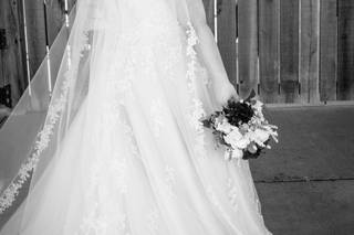 Michelle Hines Photography - 10