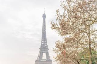 The Paris Officiant - 36