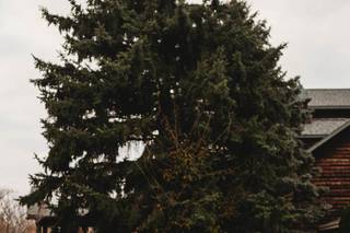 Raelani Stockwell Photography - 11