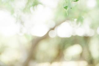 Caitlin Audrey Photography - 41