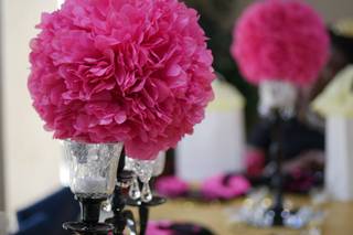 All Occasions Linen and Chair Cover Rentals - 8