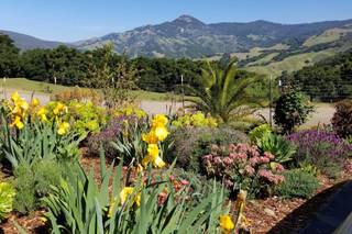 Stepladder Ranch - 13