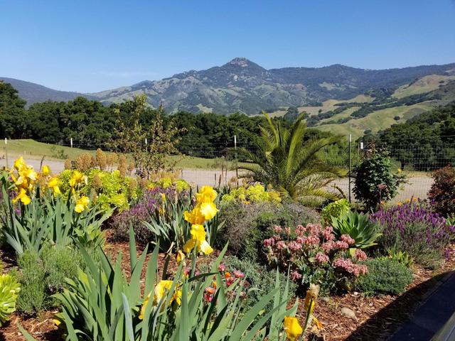 Stepladder Ranch - 4