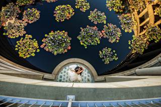 D. Park Photography - 22
