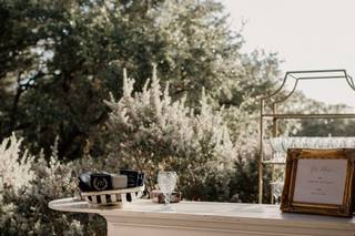 Blue Sparrow Events - 12