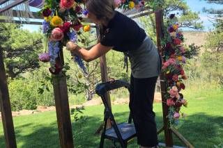 The Painted Primrose - 19