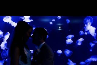 Newport Aquarium - 10