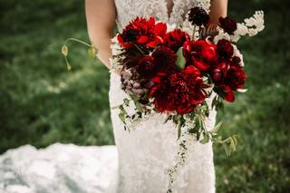 Stelladorables Photography - 14