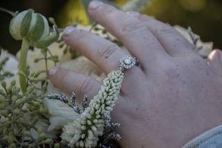 ABD Photography - 15