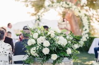 Lovely Peonies - 53
