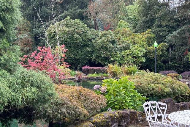 Lakeside Gardens 1