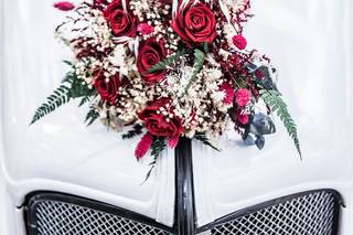 Visuals Photo and Video - 29