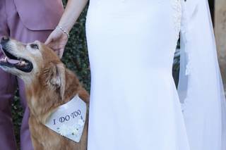 FABulous Films, Wedding and Events Videos - 28