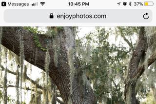 Todd Gilman Photography - 38