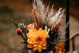 Gilly's Lilies - 27