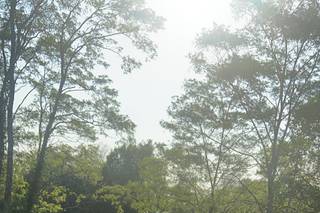 Land O' Goshen Farm Event Center - 11