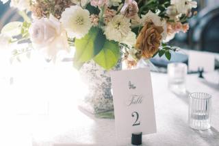 Brown Fox Creative - 12