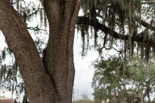 CWP Photography LLC - 21