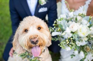 Jess Sinatra Photography - 68
