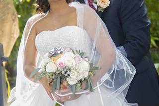 Jeff Kolodny Photography & Video - 22